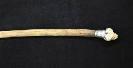 An Edwardian walking cane, overall 35.5in.